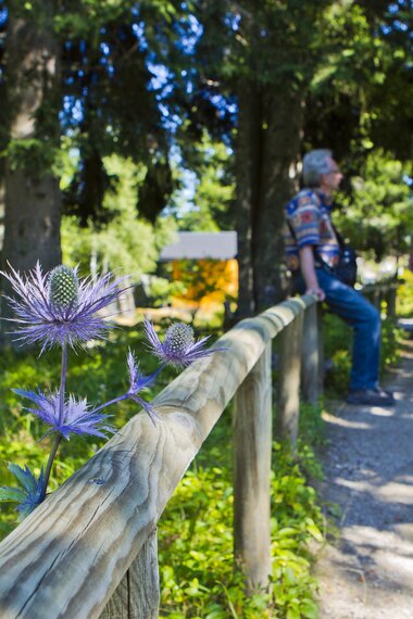 Blumen im Vordergrund, Ehepaar im Hintergrund | © villacher-alpenstrasse.at/Kolarik