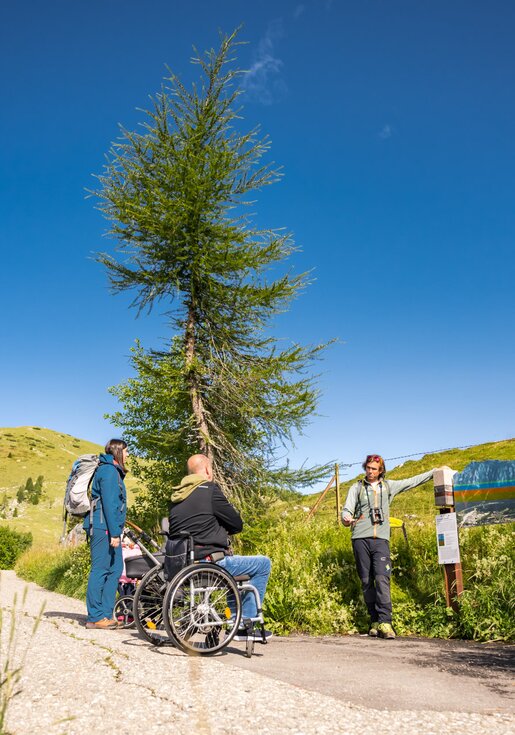 Barrier-free geology trail with wheelchair | © Michael Stabentheiner/Arge Naturerlebnis